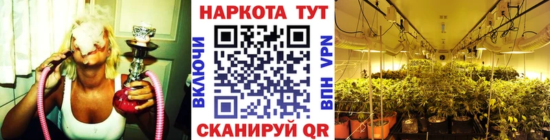 Купить Конопля  APVP  ГАШИШ  Меф  Ессентуки