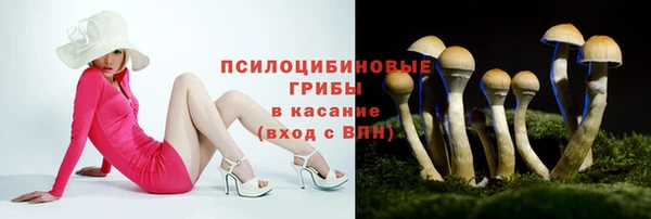 ГАЛЛЮЦИНОГЕННЫЕ ГРИБЫ Кулебаки