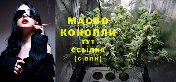 тгк Кукмор