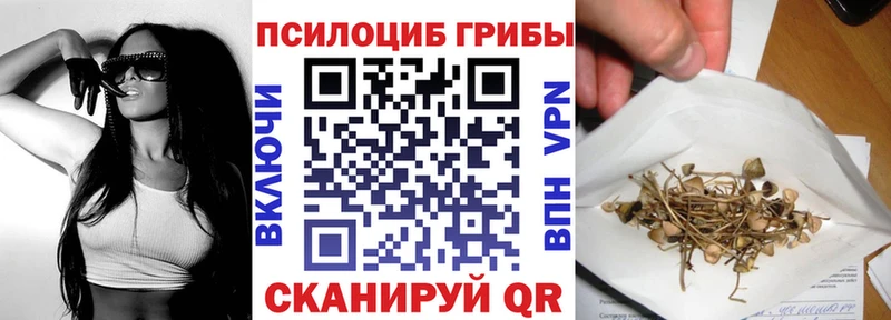 Псилоцибиновые грибы Cubensis  Купить закладки  Ессентуки 